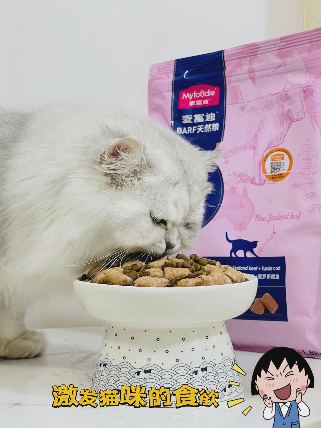 猫开脚是什么意思啊?关于公猫开脚,母猫侧躺不懂的来 - 知乎