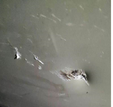 v2-1041a9dfb71df1b14533030263af9138_720w