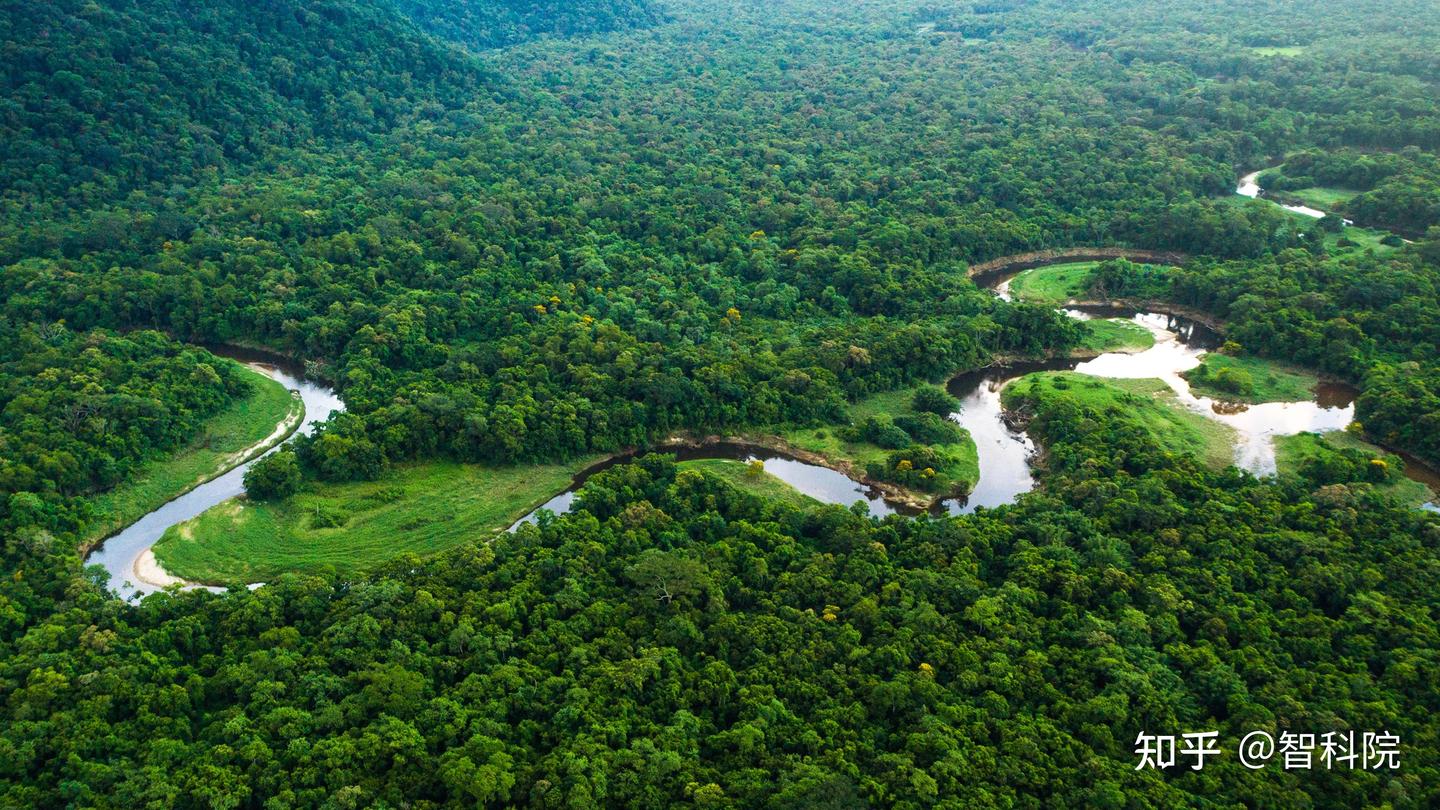 亚马逊雨林已经达到一个关键的转折点- 知乎