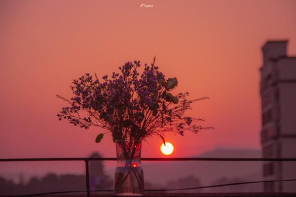 好风景多得是,夕阳平常事,然而每天眼见的,却都不相似