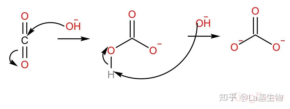 氢氧化钠和二氧化碳反应需要二氧化碳先与水反应生成碳酸吗