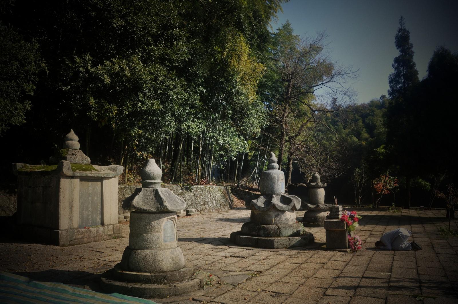 云居山真如寺组图塔林虚云纪念堂虚公塔院