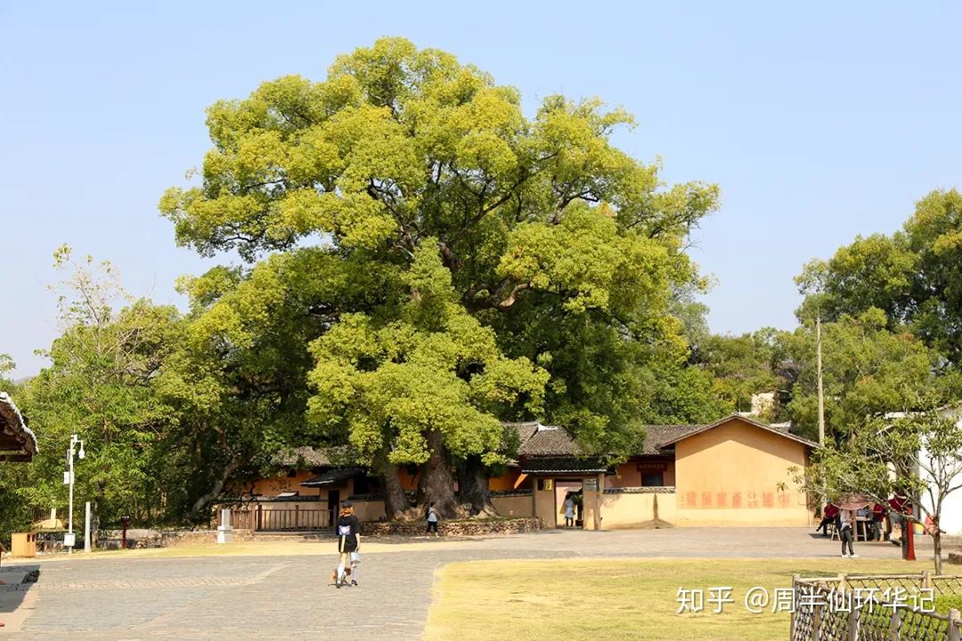 环华第335天广昌瑞金梅州