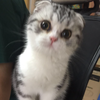 赵莎莎同学