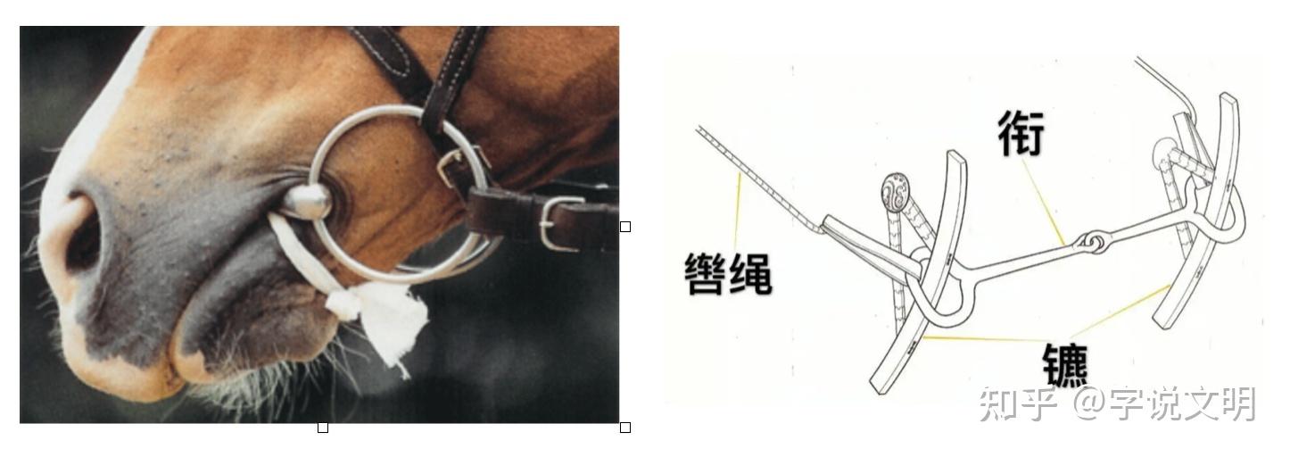 勒——每日一字·革部字 - 知乎