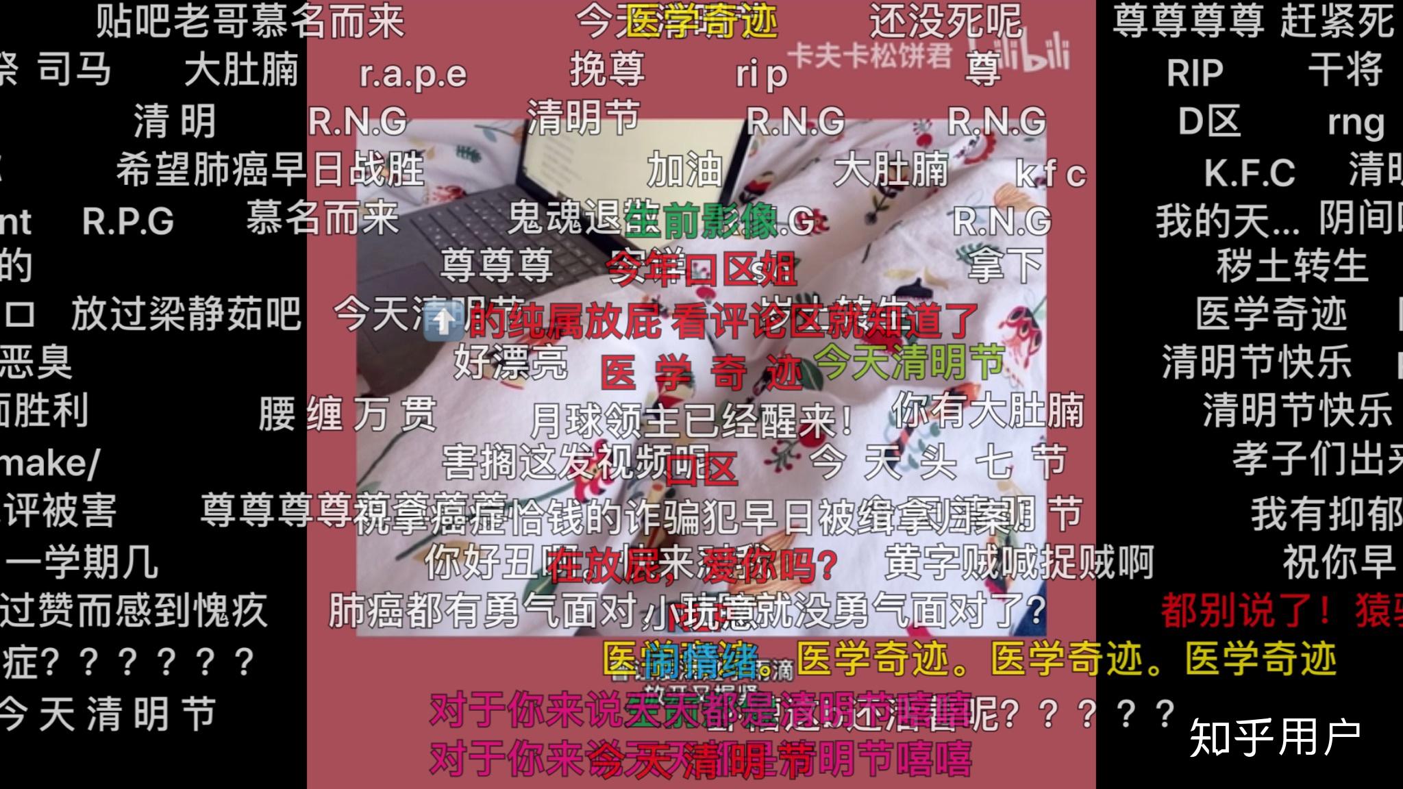 如何评价b站up主卡夫卡松饼君