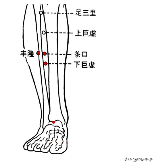 条口透承山进针方向图图片