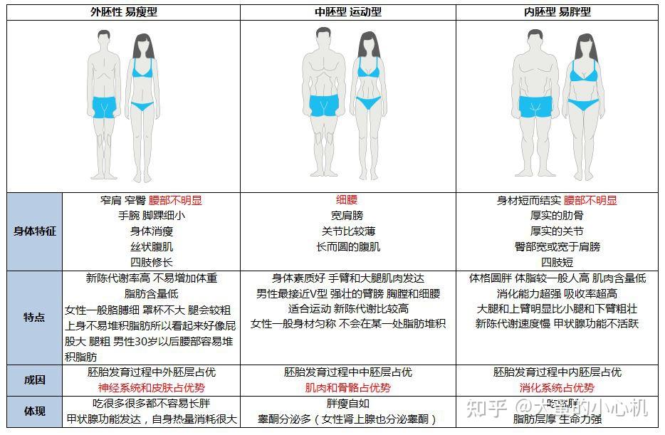 shelton)被一道不知名的闪电击中(心理学家好端端的折腾什么体型)