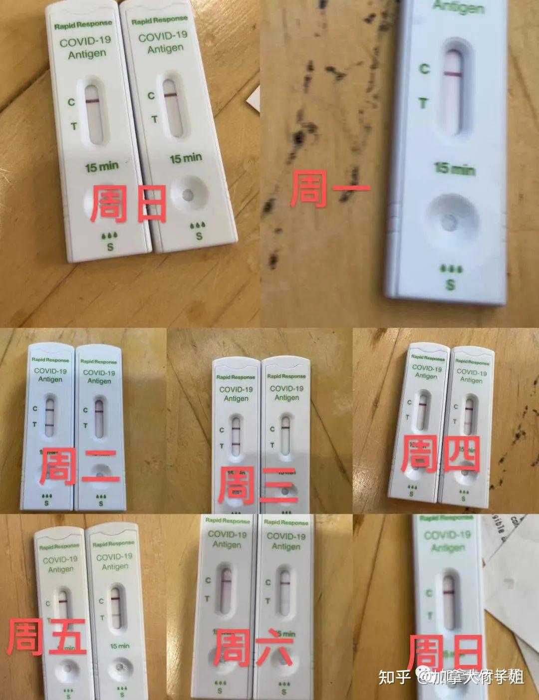 但是测试还是阴性,周一也是阴,周二开始出现弱阳,周三周四强阳,周五