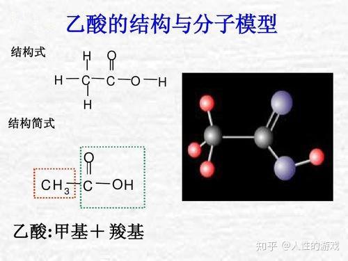 乙酸 食醋 左旋 L型 氨基酸和右旋 D型 氨基酸 知乎