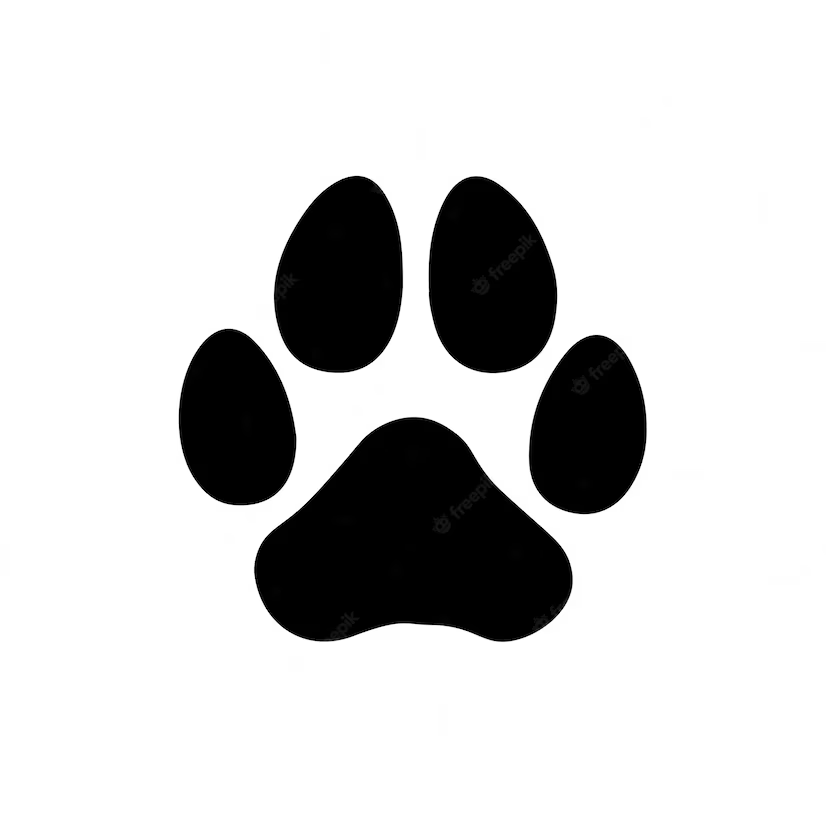 爪" 上链易 制图机,一个玩ai绘画的地方 这是一张简单的黑白熊爪图案