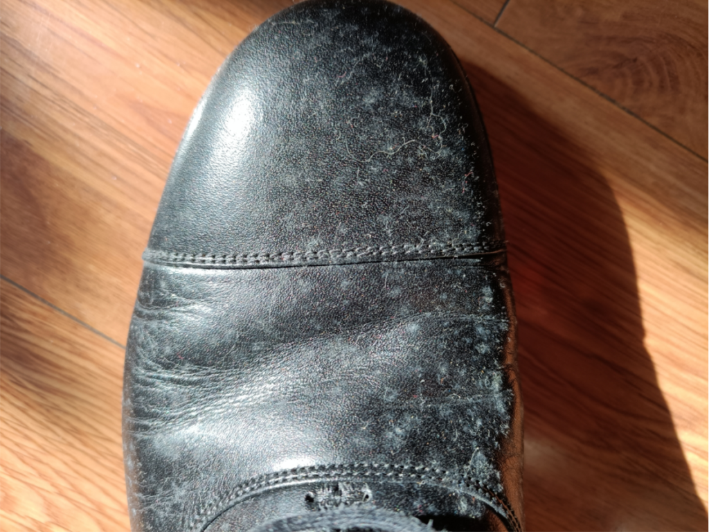 皮鞋重度发霉如何处理