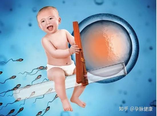 试管婴儿大概多少钱一次能成功吗 v2-10b86dc6dfd9898cacd925ea5759575c_r.jpg