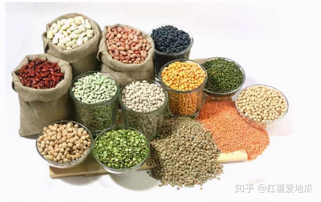 什么是精细主食 v2-10bf764da2717e75e8062a1fa811495c_r.jpg