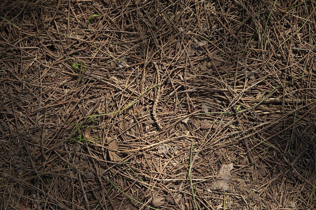 2. 自流平施工简便