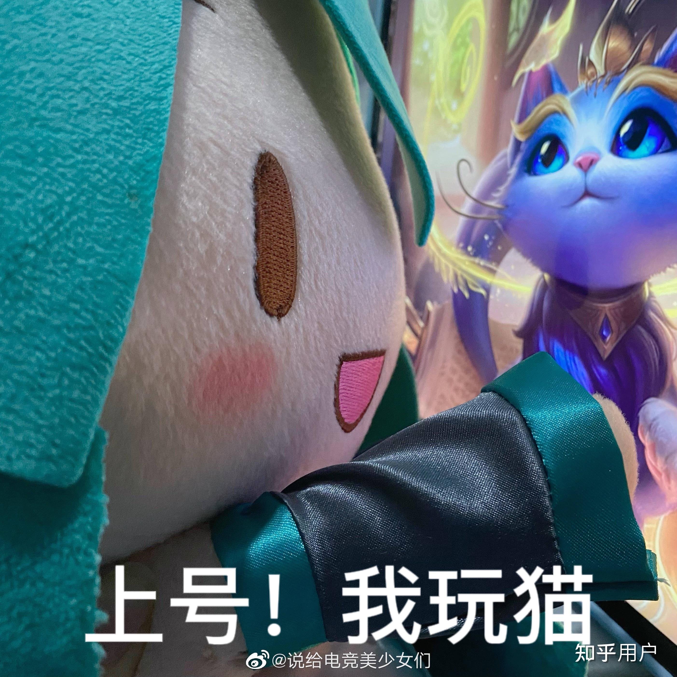 你都有哪些《英雄联盟》魔法猫咪的表情包? - 知乎