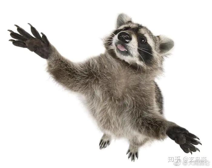 山海经东山经东次首经之山脉破解版图文版二