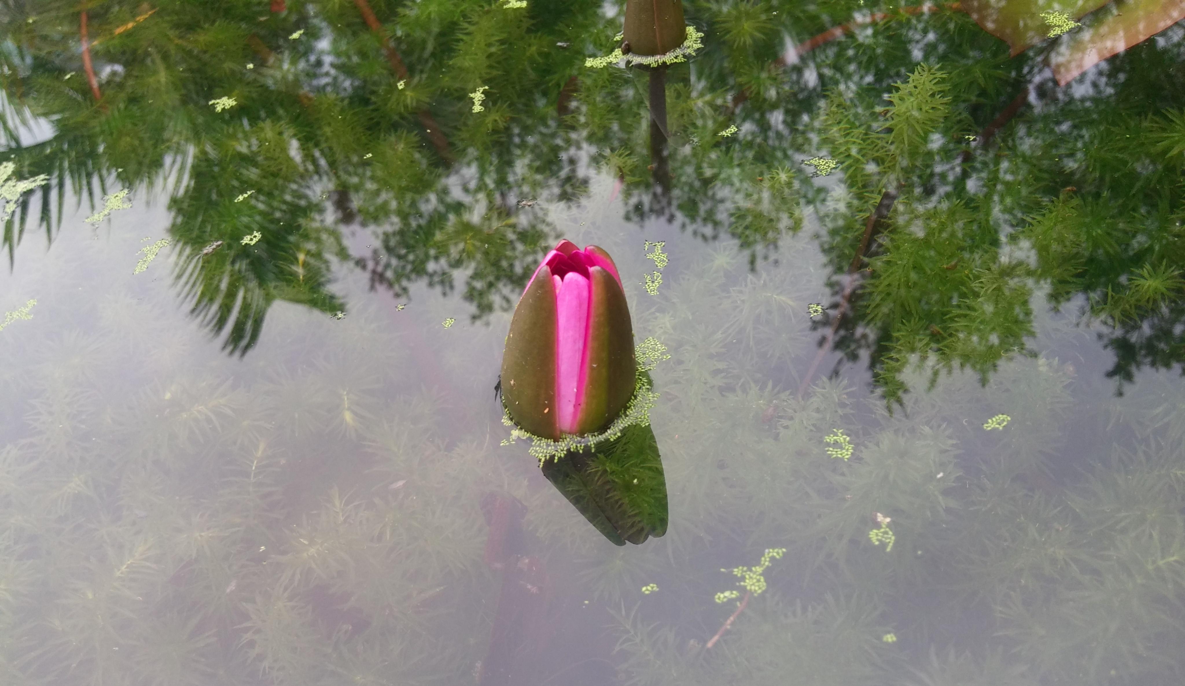 华为徕卡双镜头拍出来的 德味 体现在哪里?