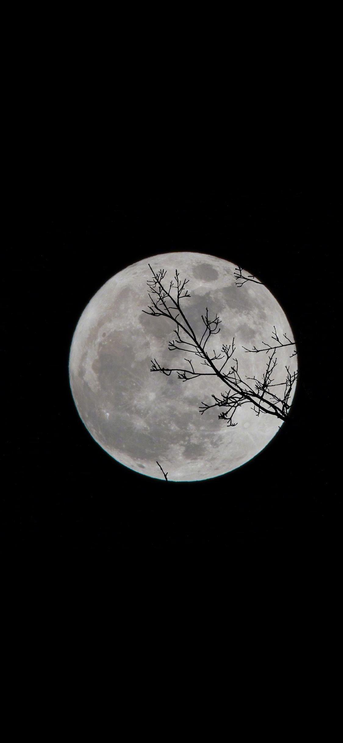 有没有那种很舒服的性冷淡或暗色系的全面屏壁纸? - 知乎