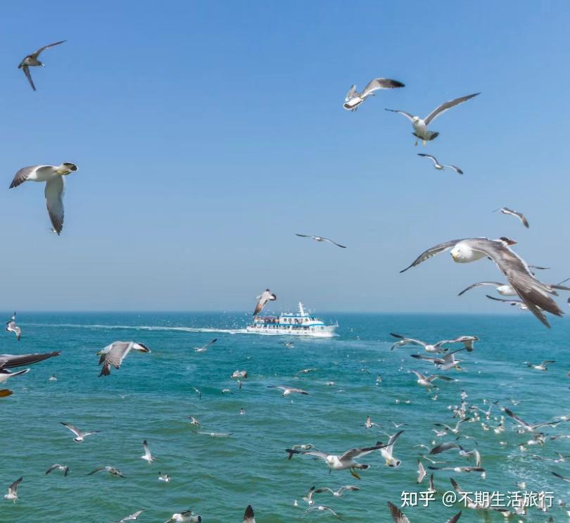 【西沙群島】在浪漫海島,尋找出海遠航的快樂! - 知乎