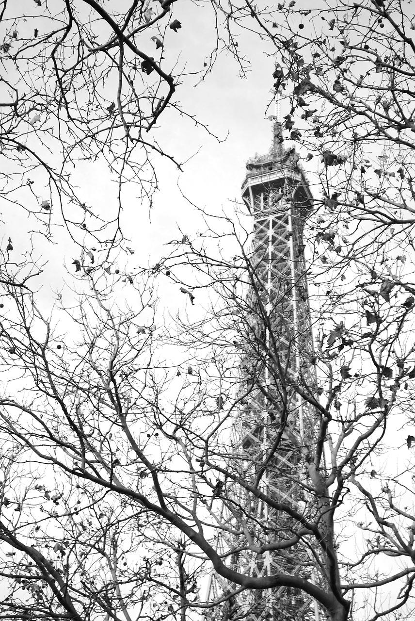 合江巴黎春天在闹什么