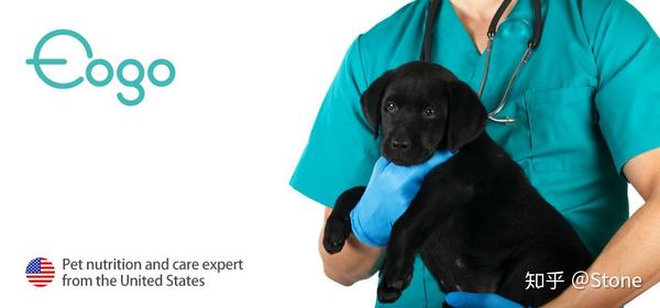 Eogo予多 狗狗为什么那么能睡 知乎