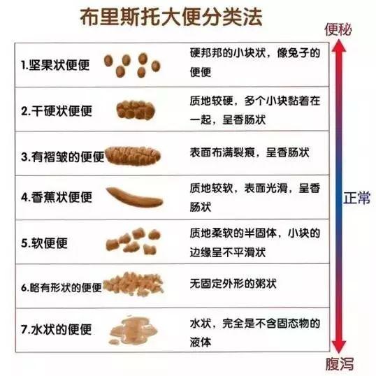 每个人肠子里有20斤屎！便秘智商税你交了没？ - 知乎