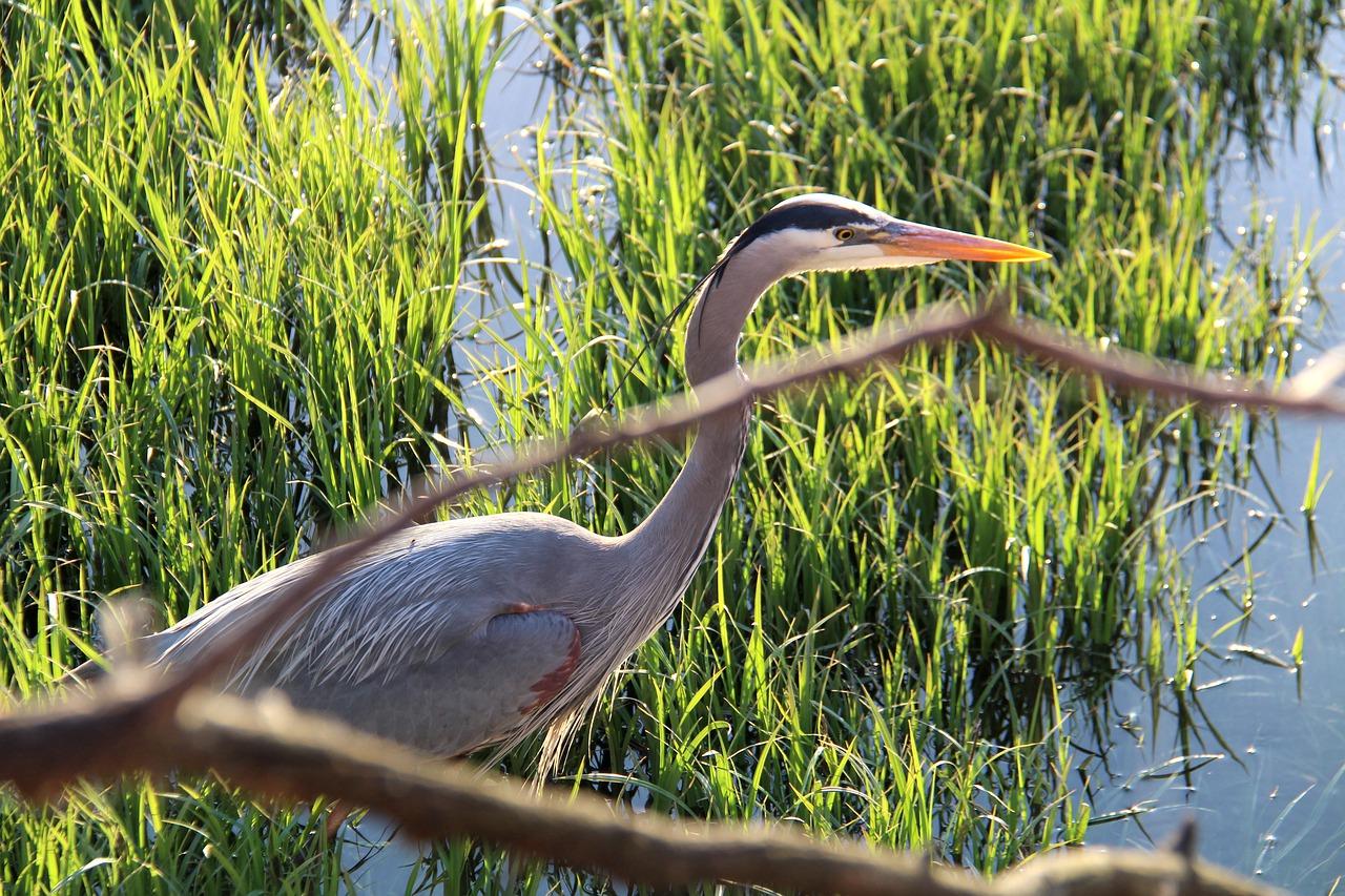 4. 高层住宅优势显