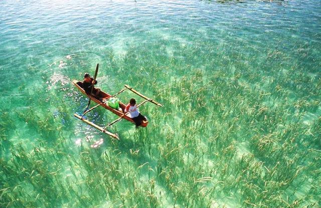 仙本那丨漂浮在海上的人间仙境
