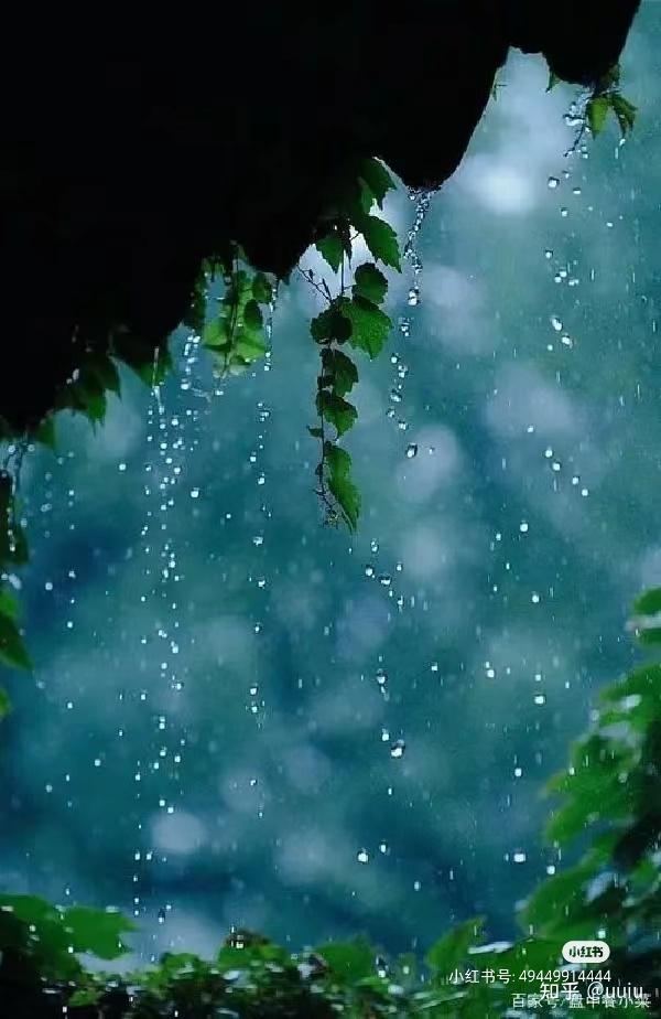 心情怎么样?能分享分享吗?