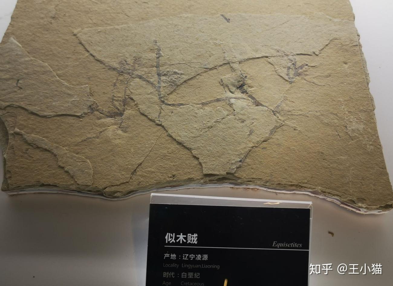 看得懂的张家口地址博物馆08