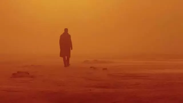 2049