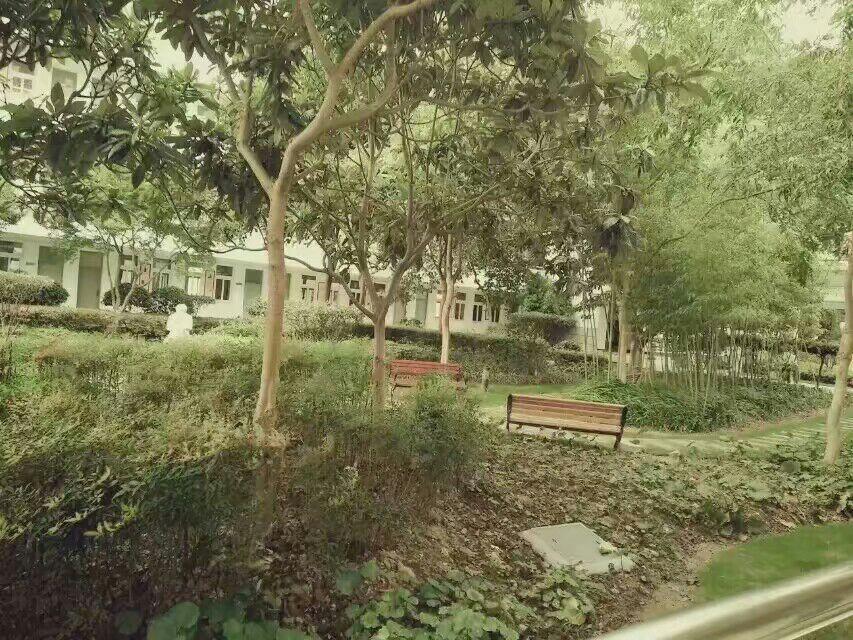 在上海市川沙中学(Shanghai Chuansha High S