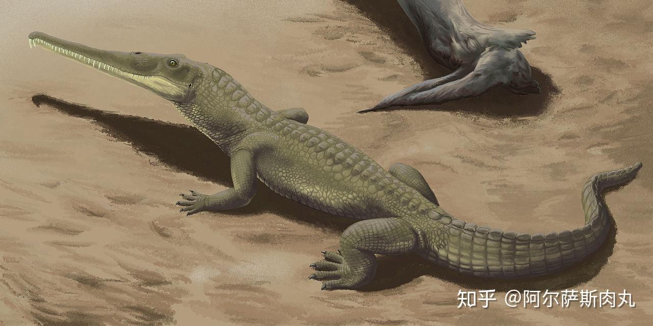 「prehistoric park丨史前公园◎3」"我来自三叠纪,我不是鳄鱼!