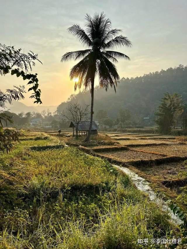 2023 泰国 10 大最佳旅游景点,第一次到泰国去哪里?玩什么?