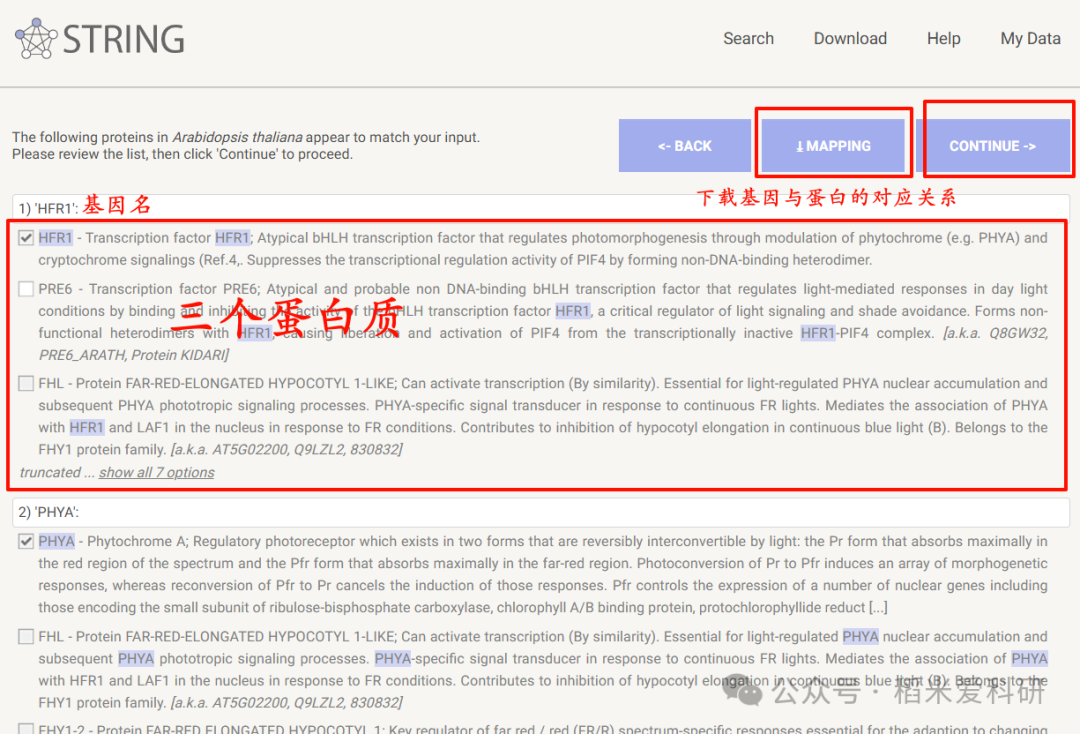 STRING数据库-蛋白相互作用网络分析 - 知乎