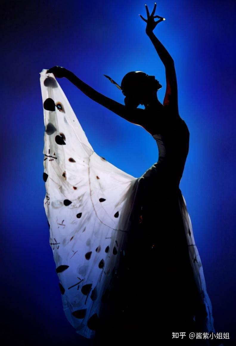 从1979年舞剧《孔雀公主》开始,到1986年创作表演《雀之灵》一举成名