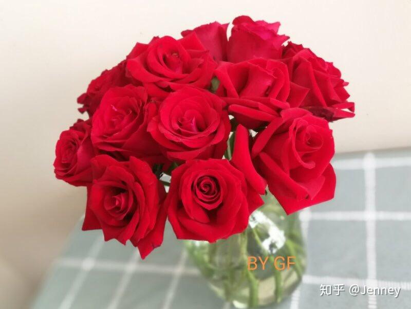 自由玫瑰花 v2-1133717613a94e6f08b6384ddfbe4e74_r.jpg