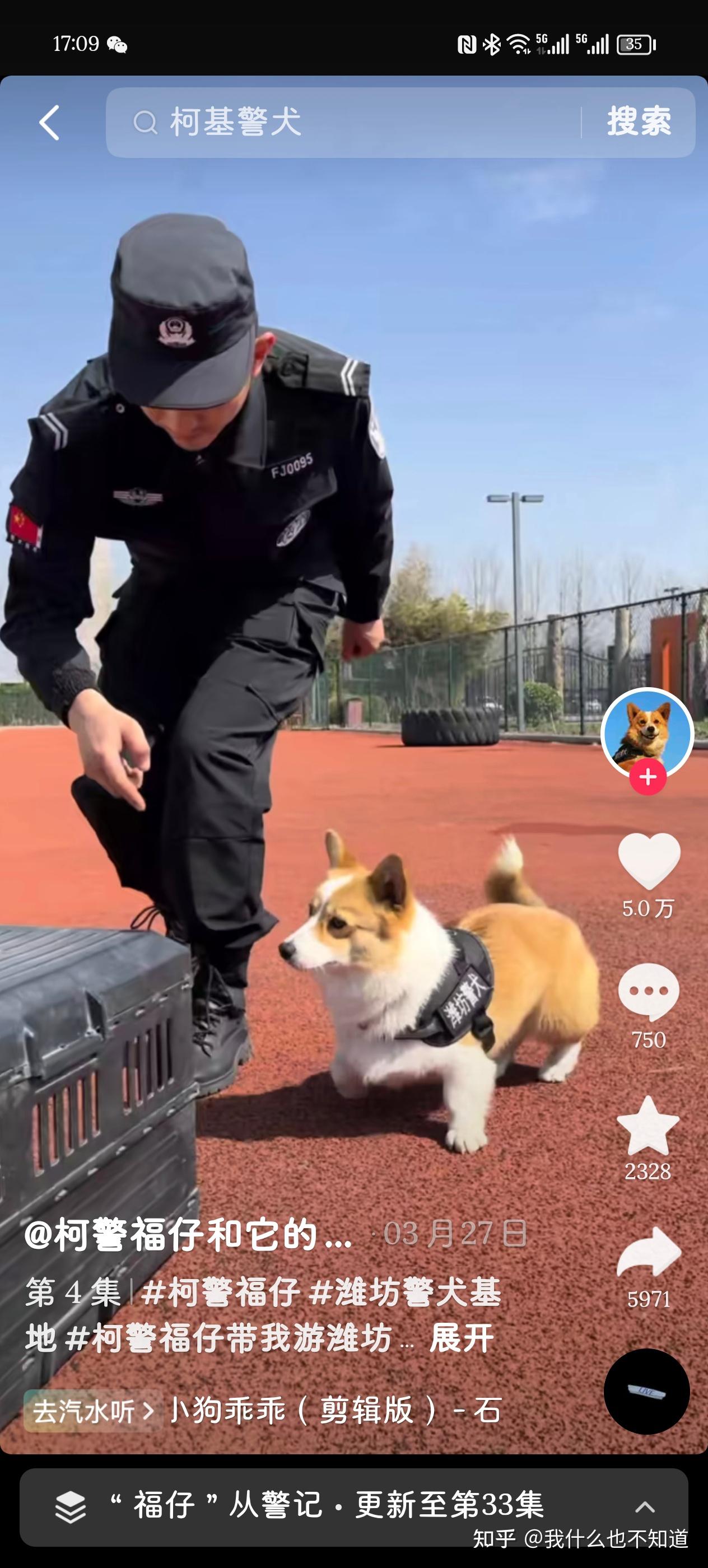 为什么警犬基本上都是德国牧羊犬