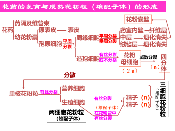 植物学期末复习植物生理部分 光合不全 知乎