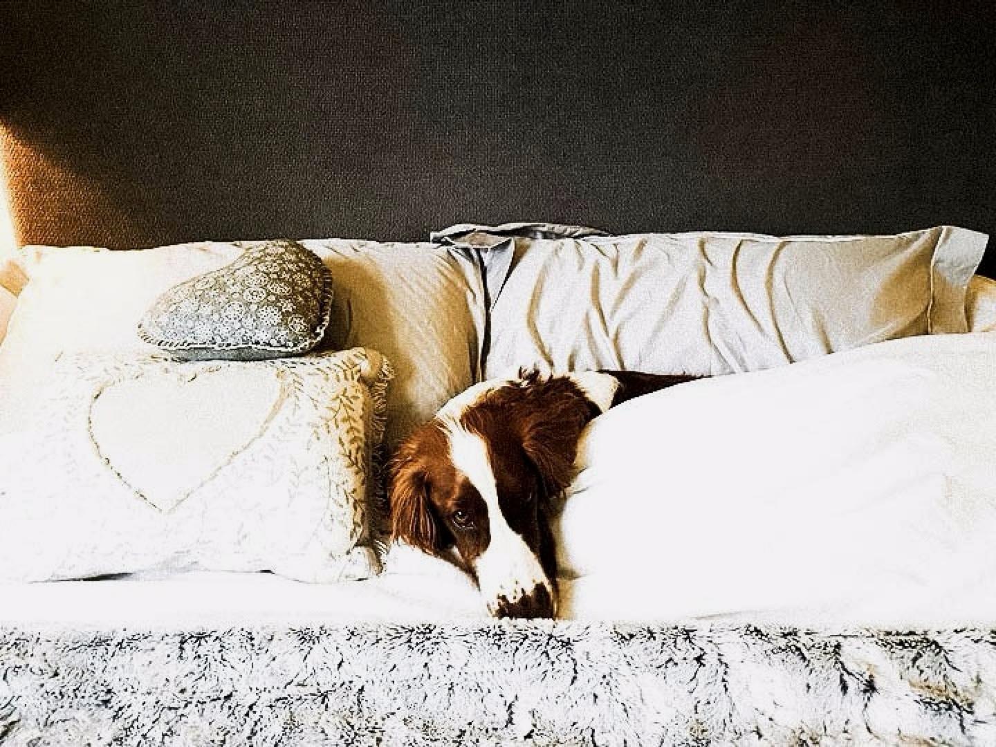 v2-113d70c415cca80c1d73ecdd26ae60fe_1440w.jpg?source=172ae18b