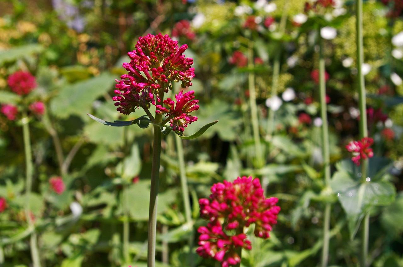 3. 淮滨西湖环路长