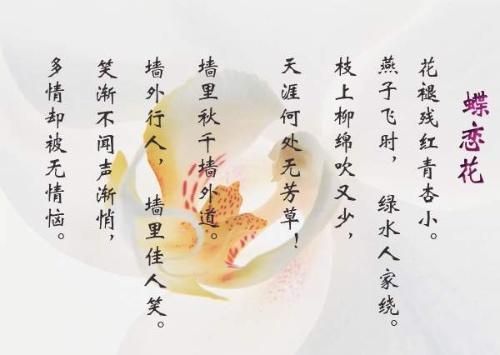 苏轼名句 天涯何处无芳草 下一句可不是 何必单恋一枝花 知乎 苏轼名句 天涯何处无芳草 下一句可不是 何必单恋一枝花 知乎