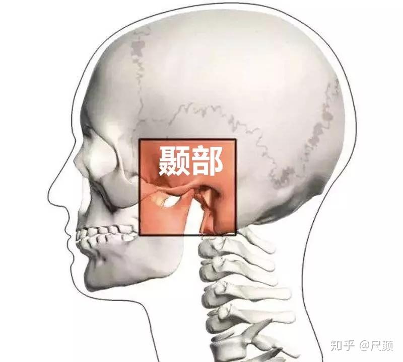 v2-114f13fe9f367a584bf9b0a8493ba750_r.jpg