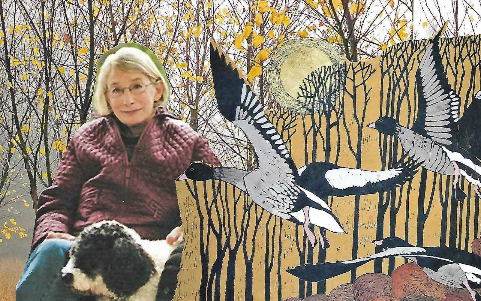 为什么喜欢玛丽·奥利弗的诗