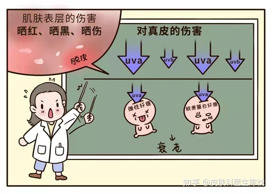 防晒系数（SPF和PA）是什么意思，该如何选择呢？ - 知乎