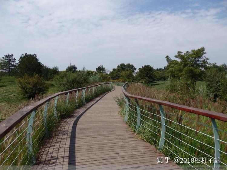 晋中潇河湿地公园图片