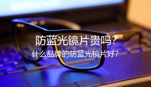 单光镜片选什么牌子的好,单光镜片和防控镜片哪个好
