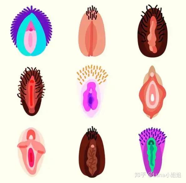 有些商家会给女性洗脑说,男人看到黑木耳就扫兴pi软,看到粉嫩好看的