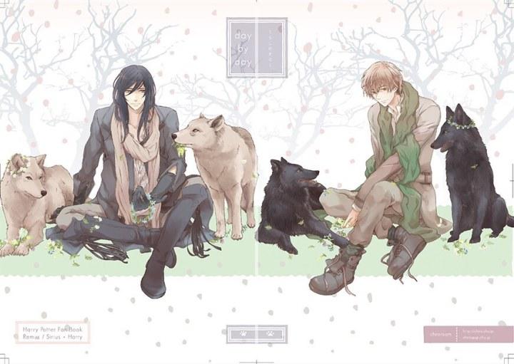 Hp同人推荐 犬狼中心向 For The Love Of Life 作者 青泥 知乎 Hp同人推荐 犬狼中心向 For The Love Of Life 作者 青泥 知乎